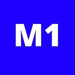 سوزن تتو M1